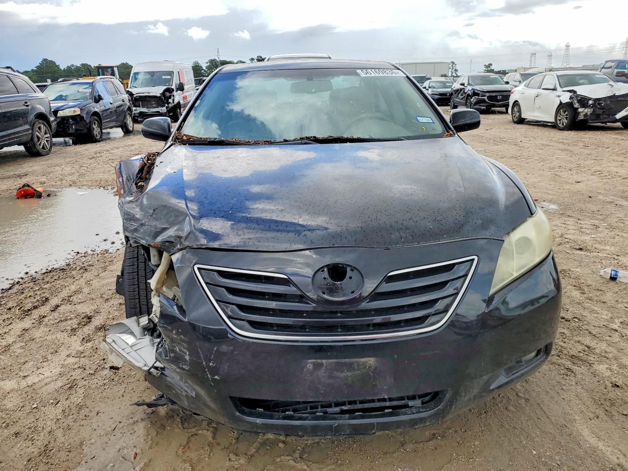 Toyota Camry Xle V6