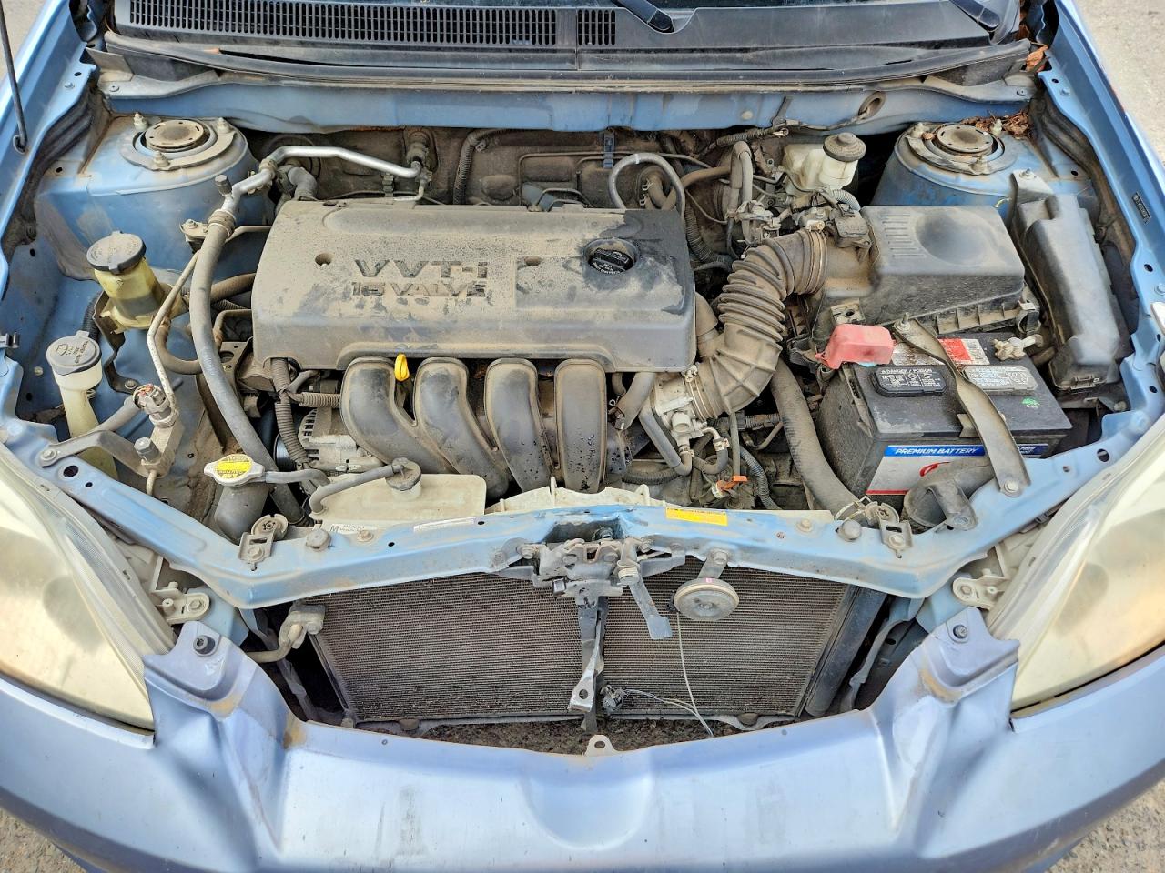 Toyota Corolla Xr
