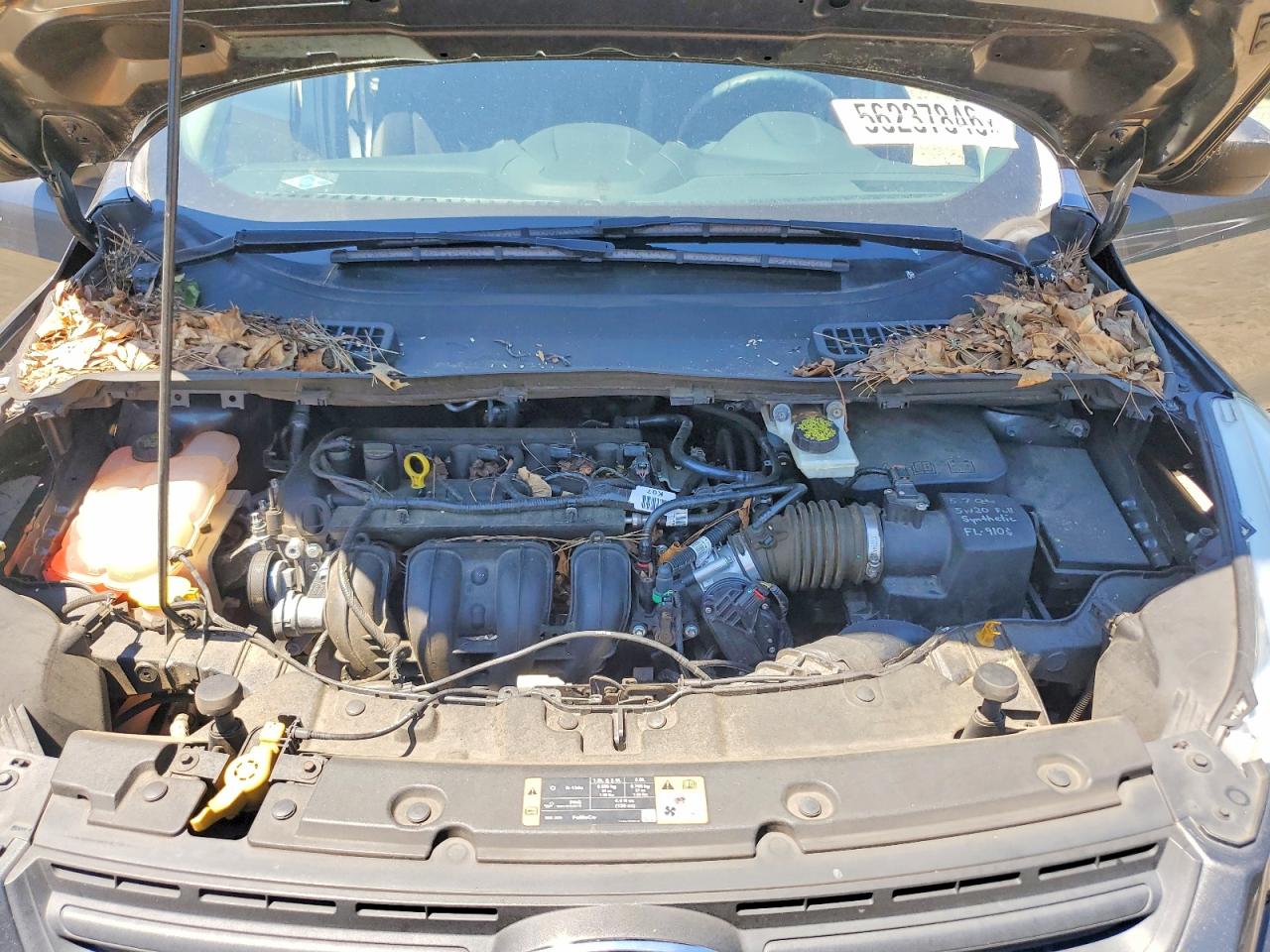 Ford Escape S