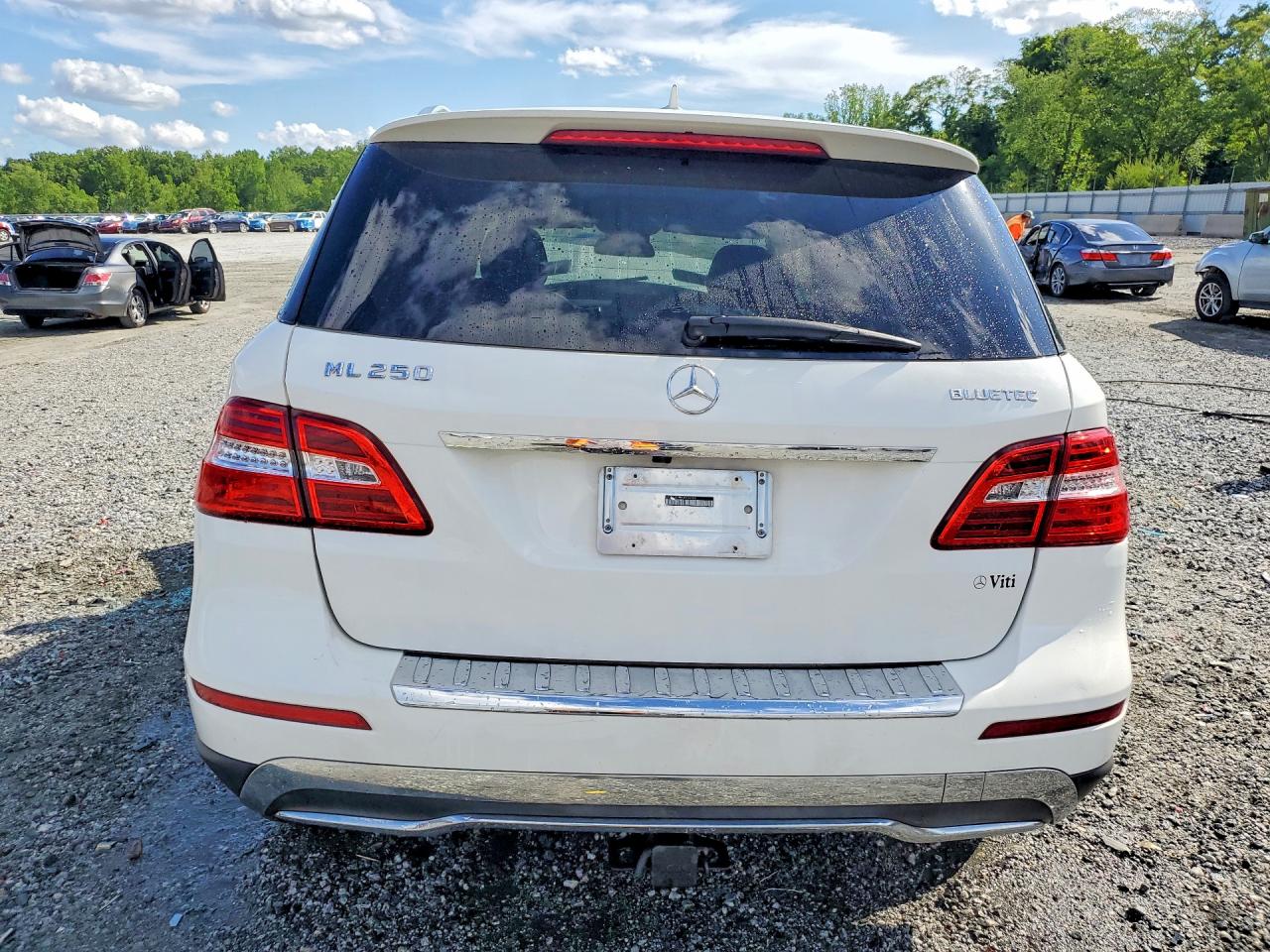 Mercedes-Benz M-Class 250 Bluetec