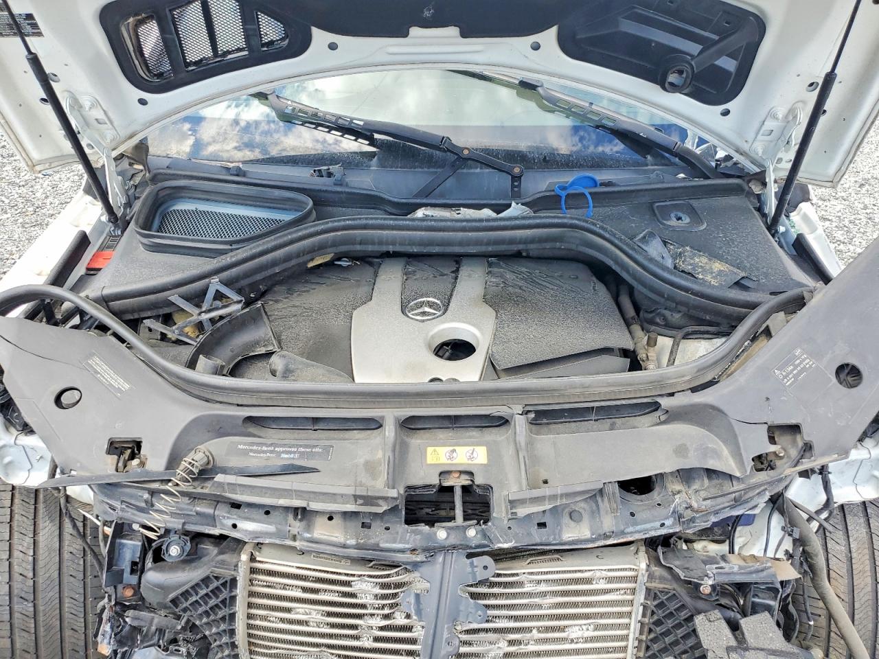 Mercedes-Benz M-Class 250 Bluetec