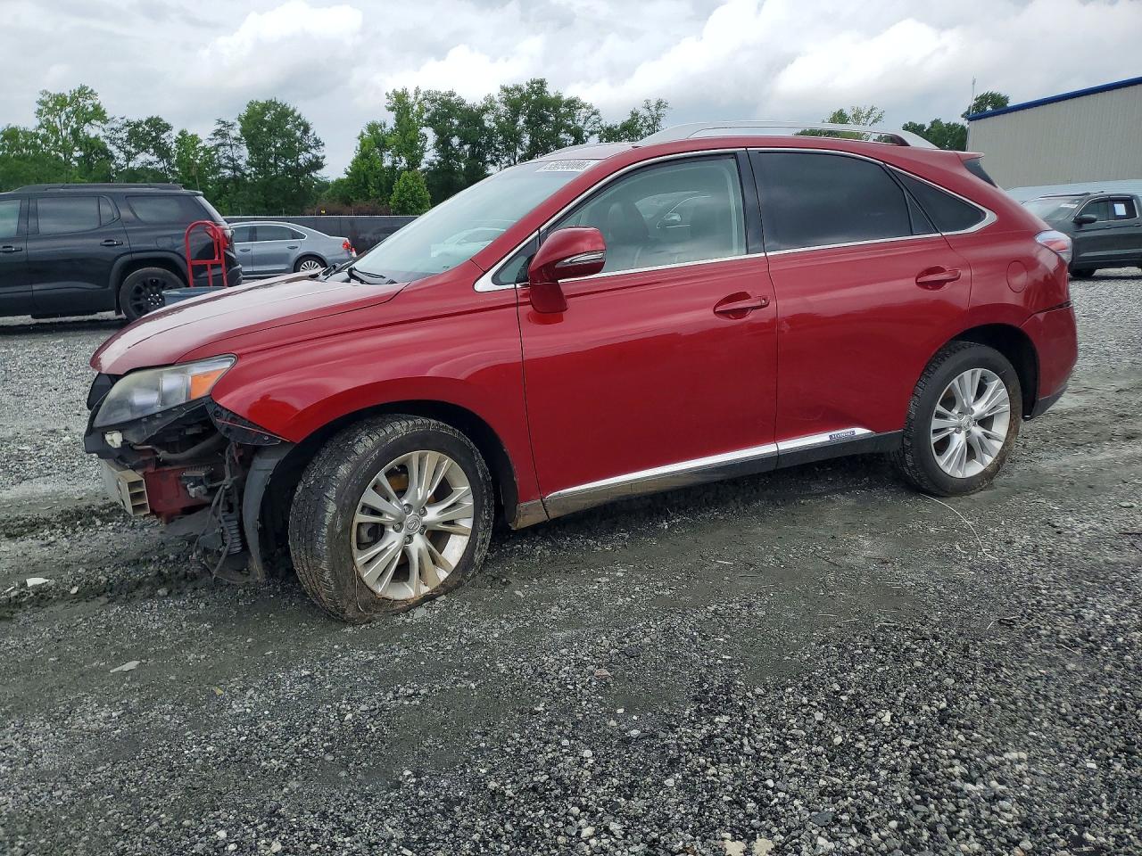 Salvage Lexus RX Image