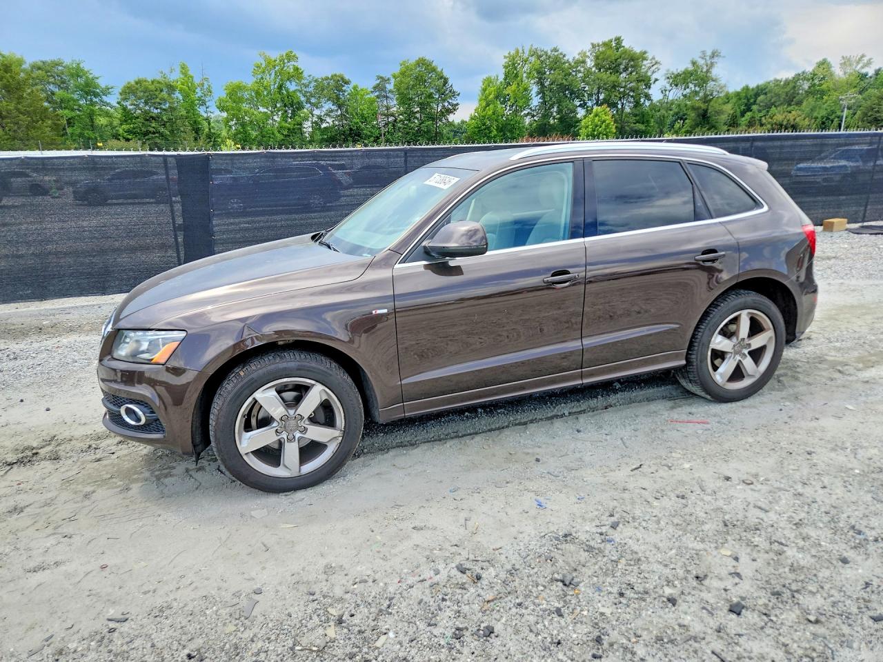 Salvage Audi Q5 Image
