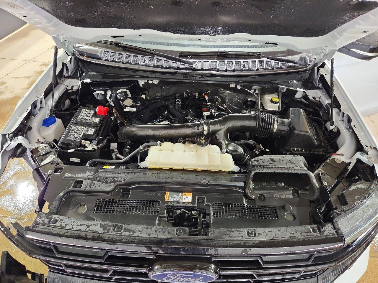 Ford Expedition Active