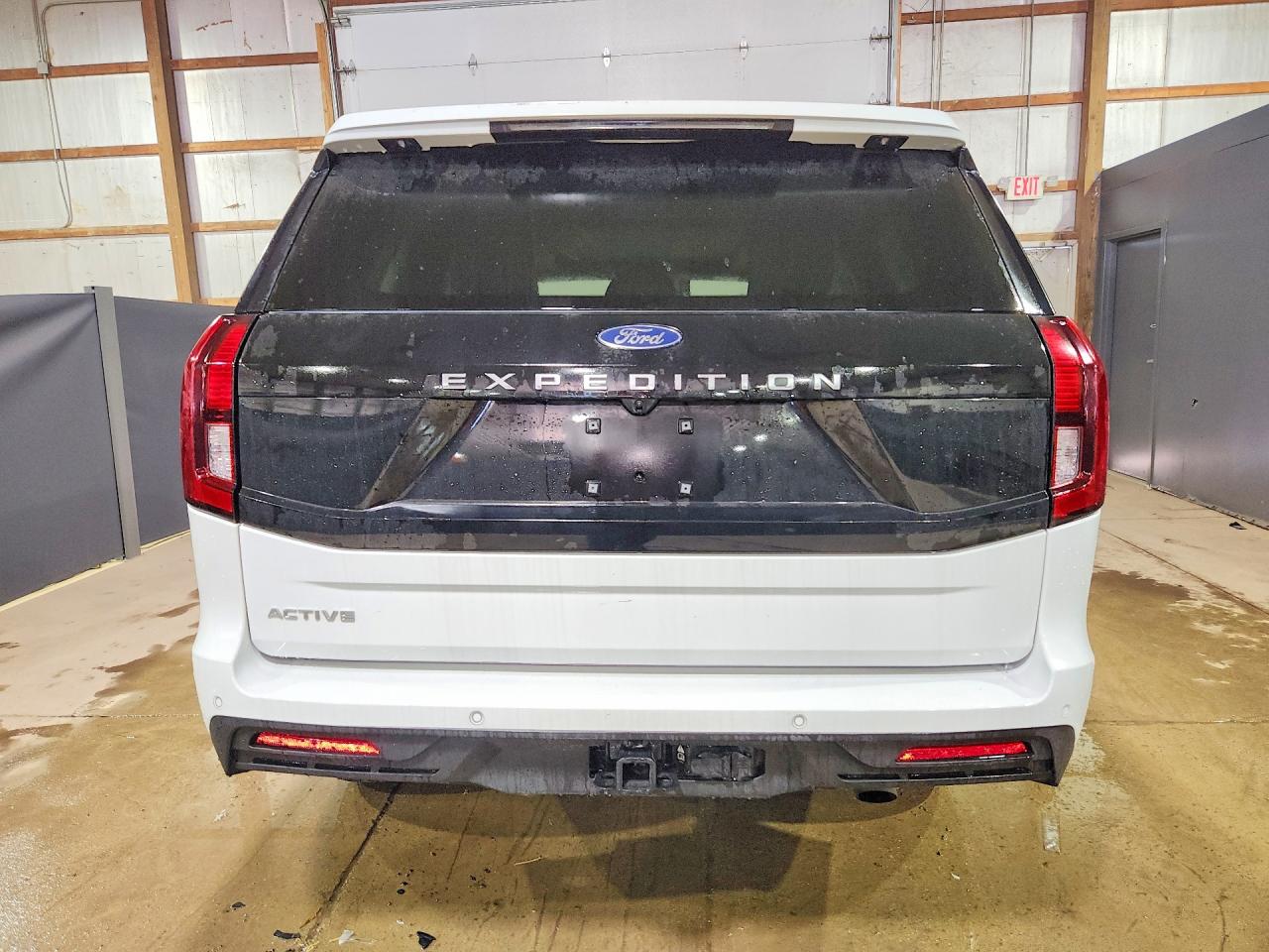 Ford Expedition Active