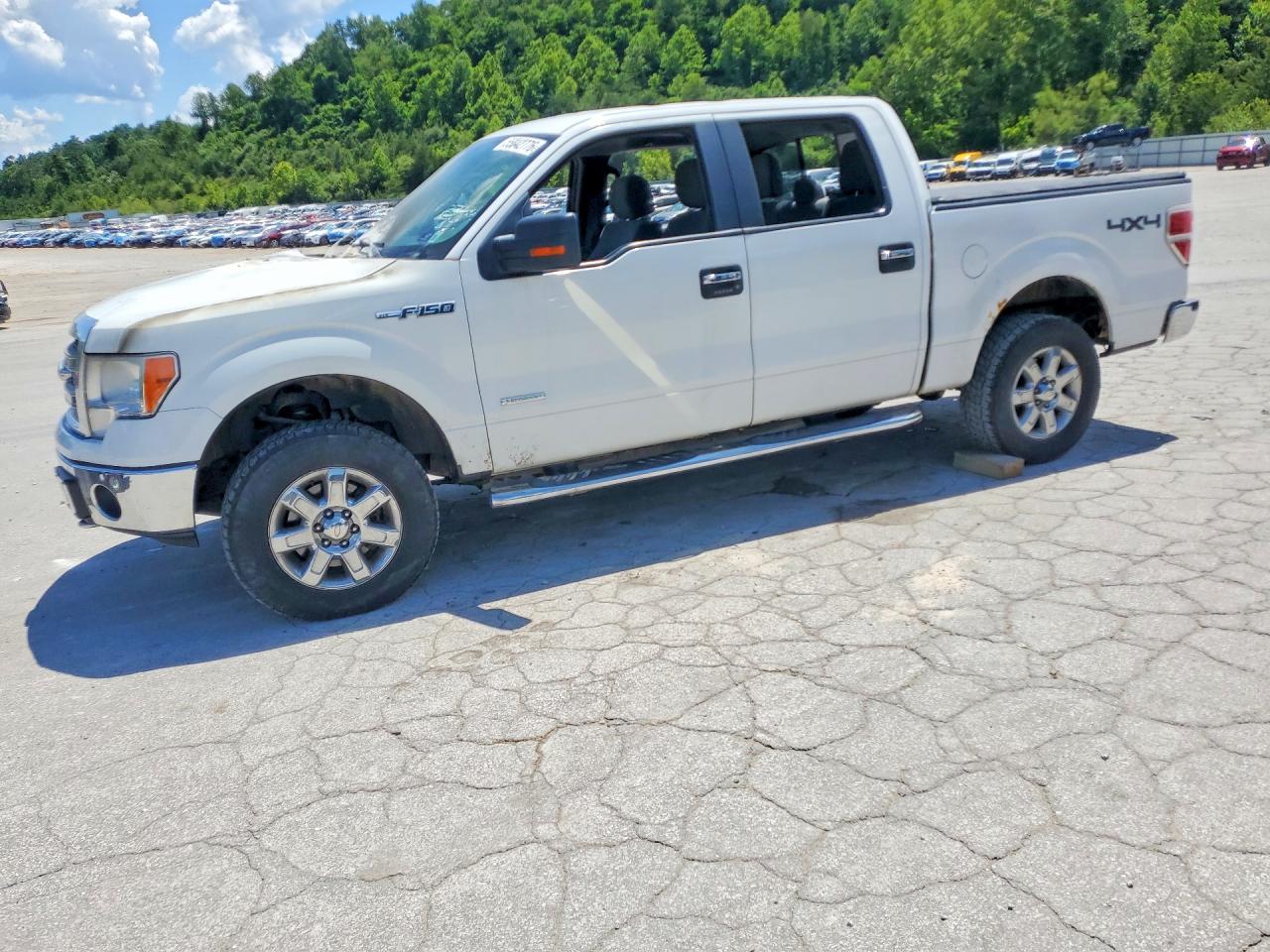 Salvage Ford F-150 Image