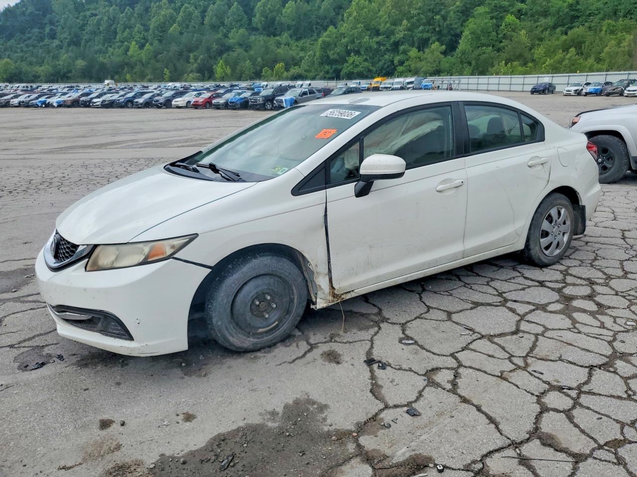 Salvage Honda Civic Image