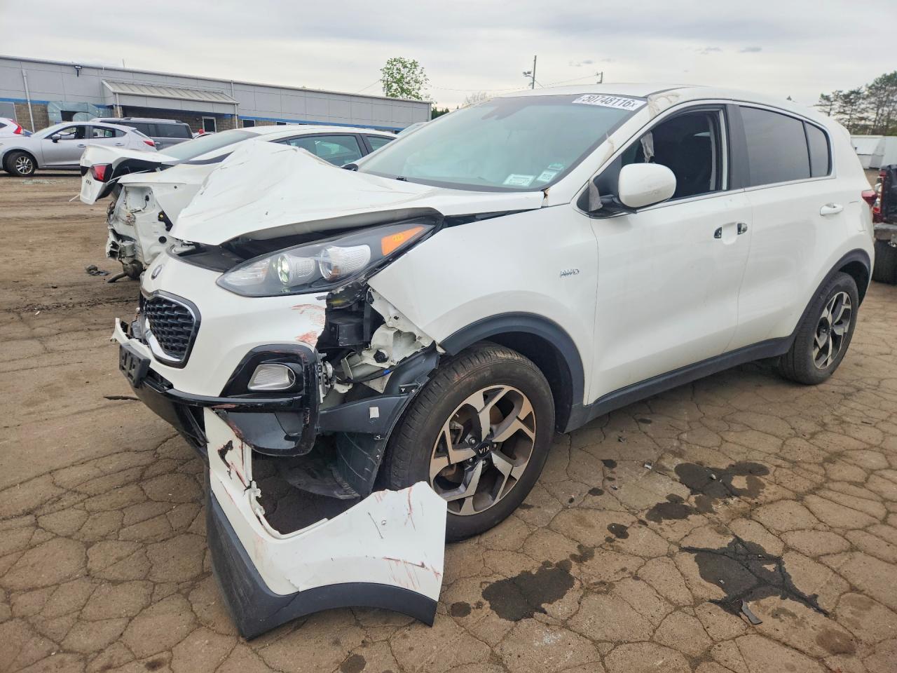 Salvage Kia Sportage Image