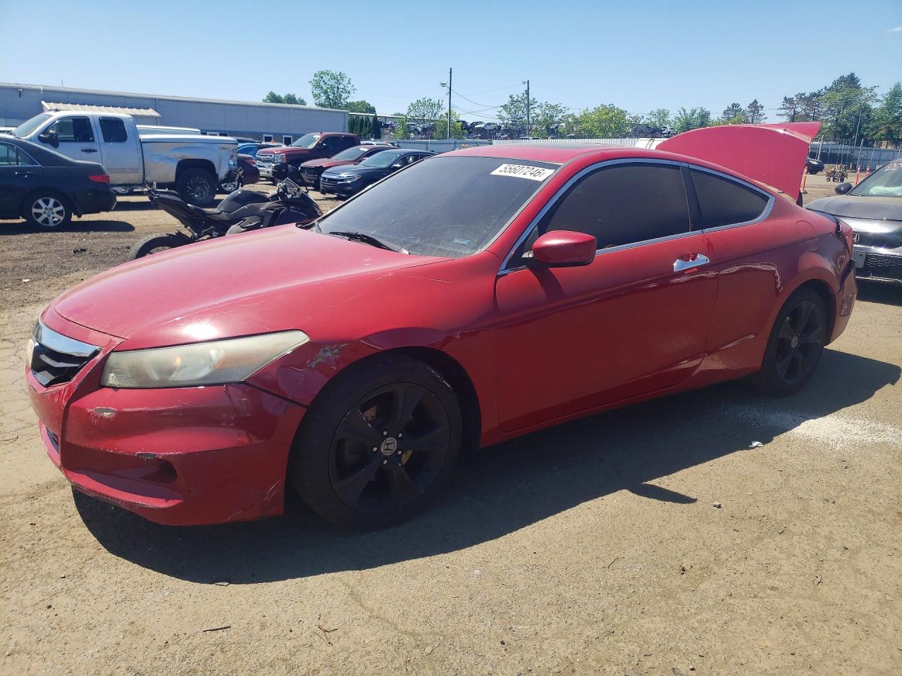 Salvage Honda Accord Image