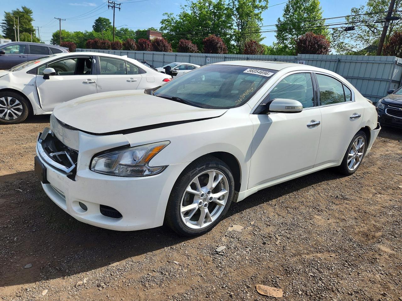 Salvage Nissan Maxima Image