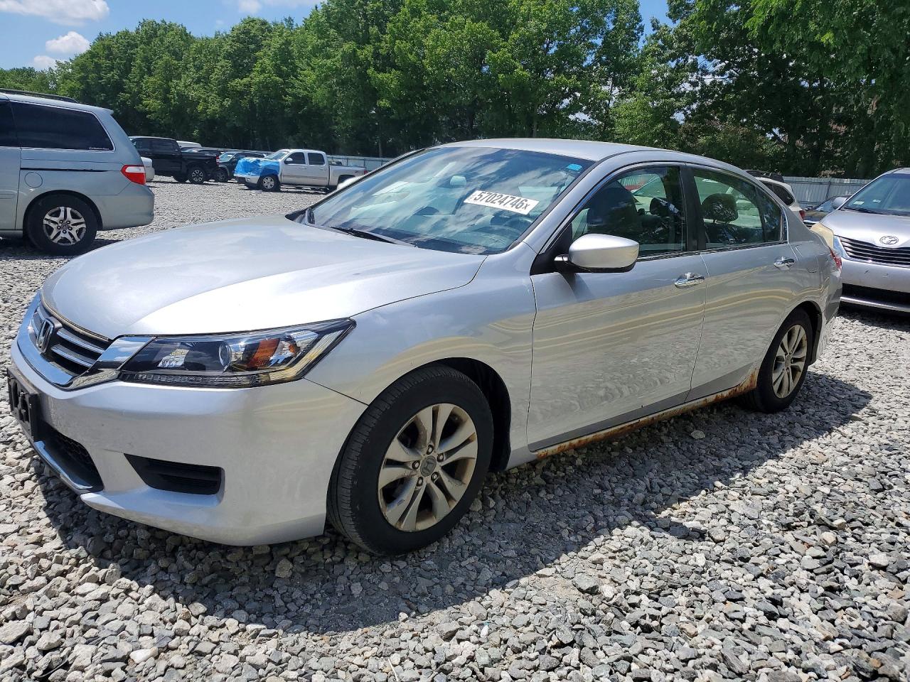 Salvage Honda Accord Image