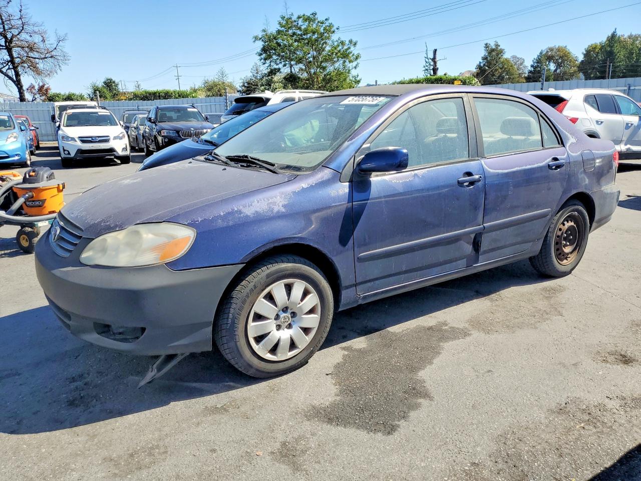 Salvage Toyota Corolla Image