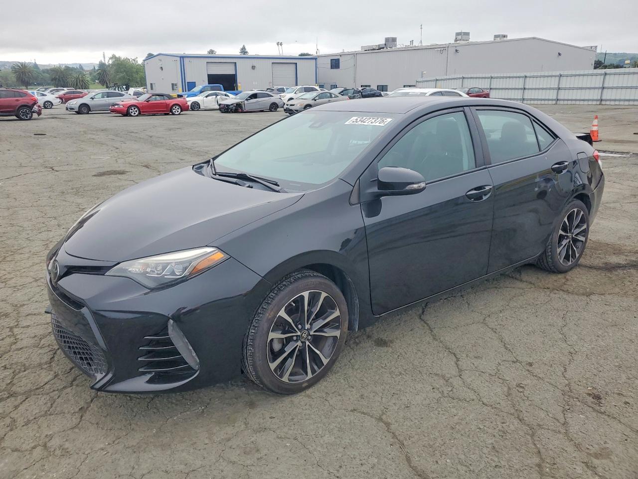 Salvage Toyota Corolla Image
