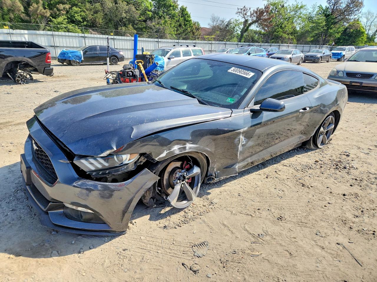Salvage Ford Mustang Image