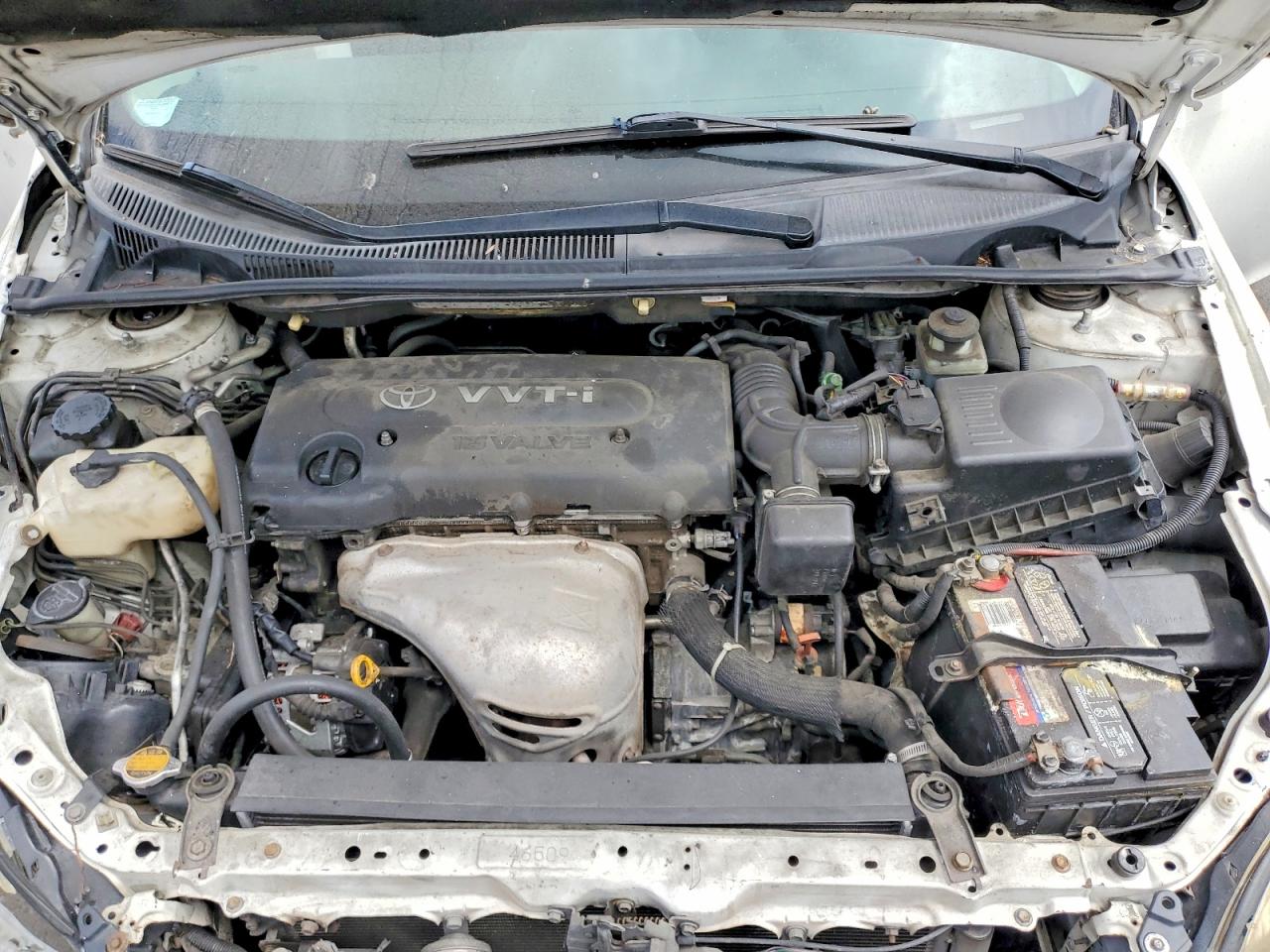 Scion TC Base