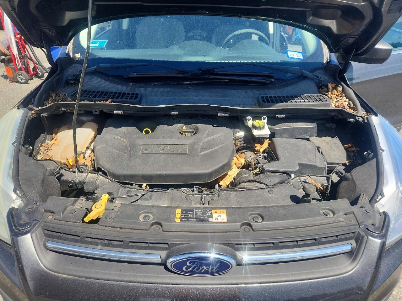 Ford Escape Se