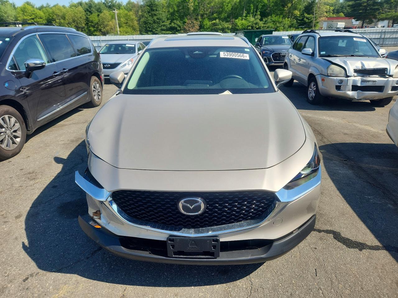 Mazda Cx Preferred