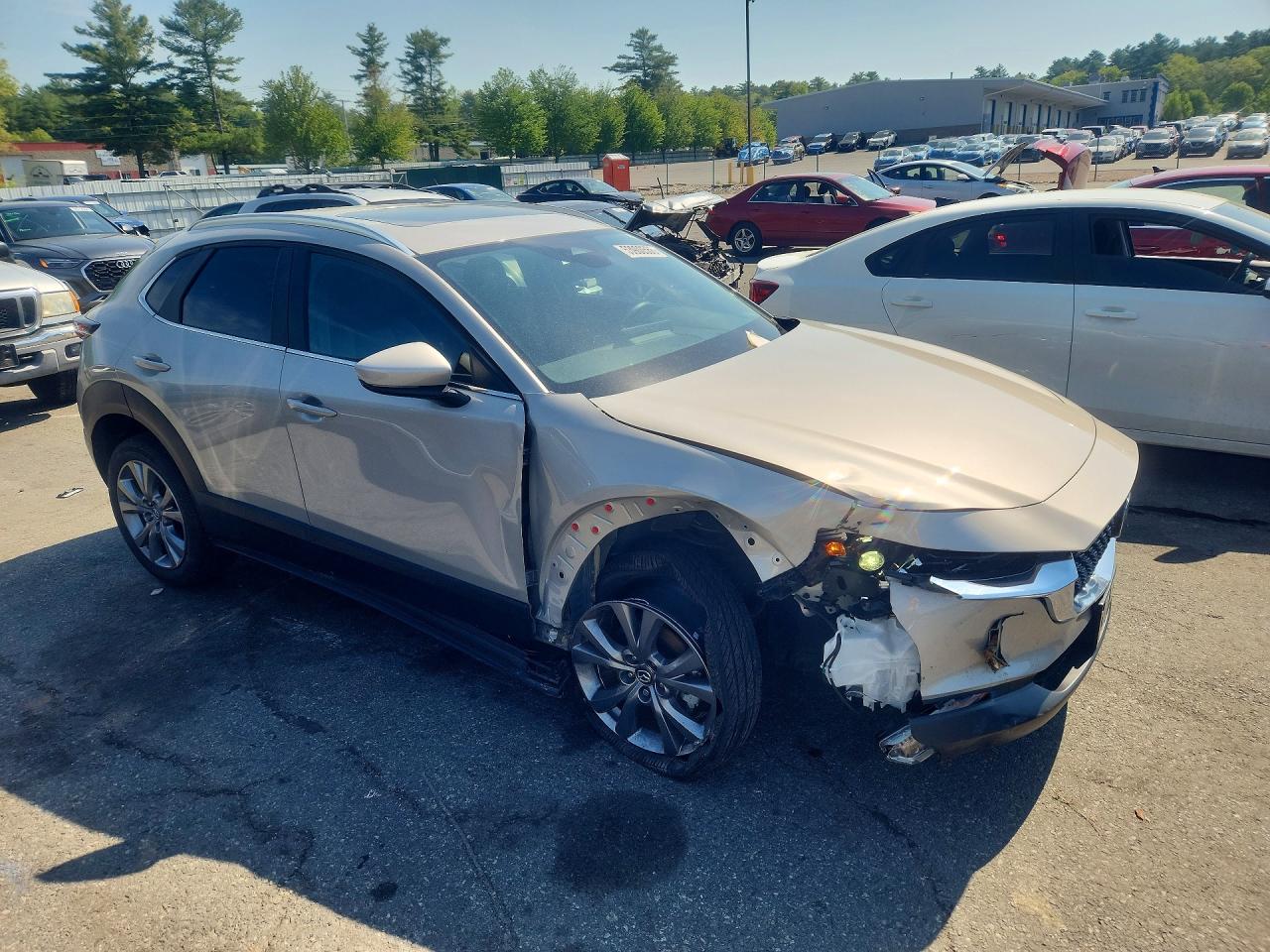 Mazda Cx Preferred