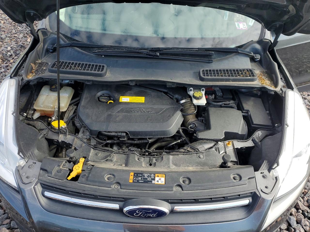 Ford Escape