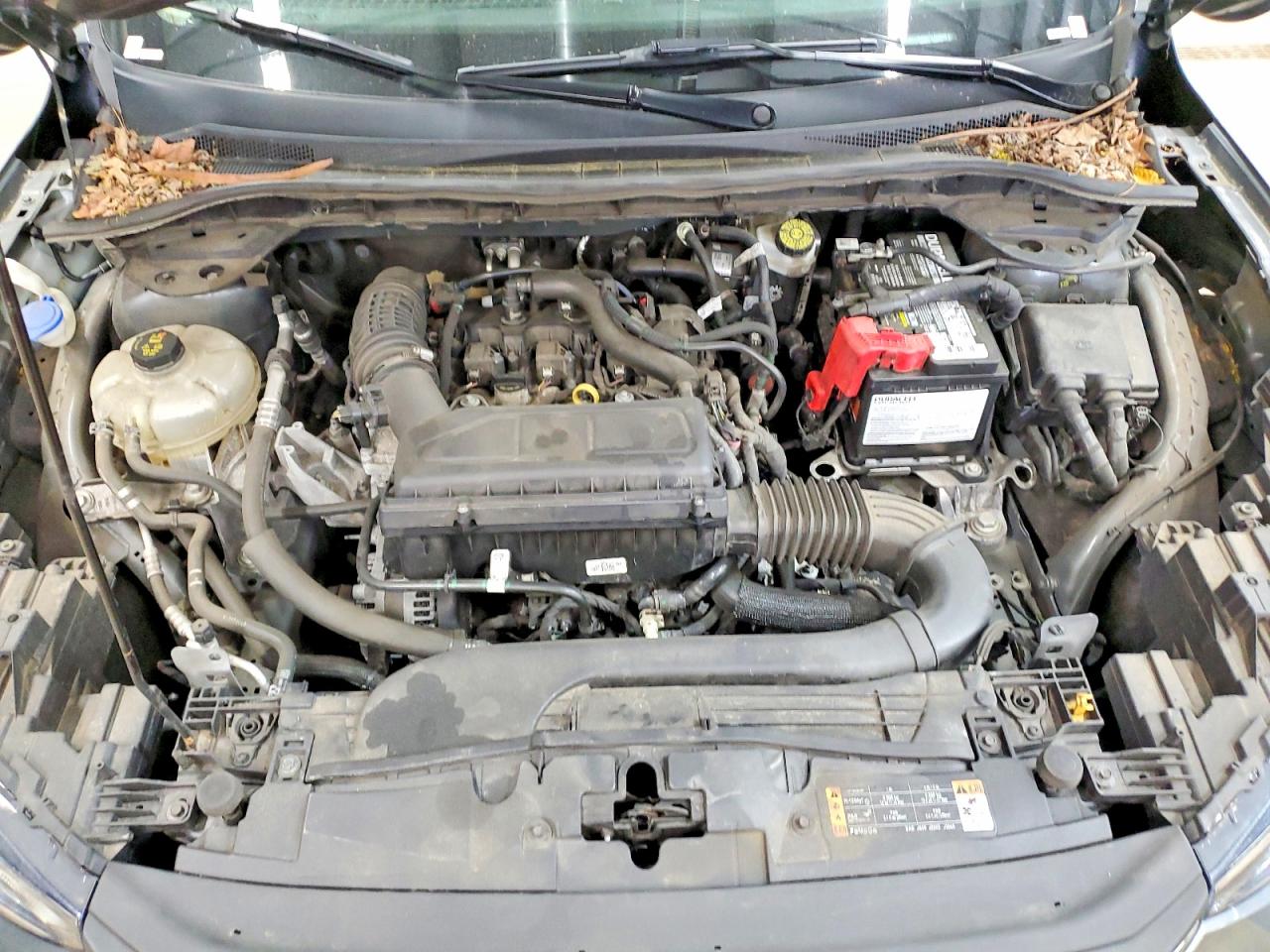 Ford Escape St Line