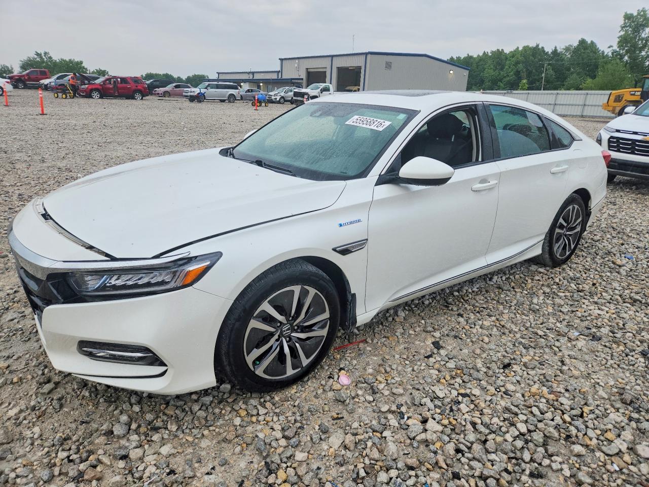 Salvage Honda Accord Image