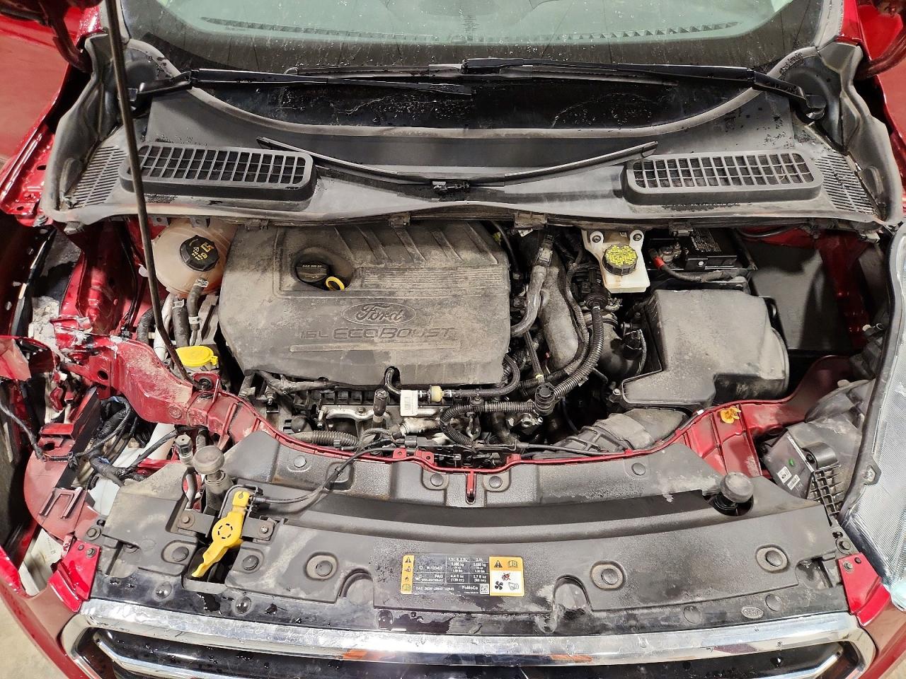 Ford Escape Se
