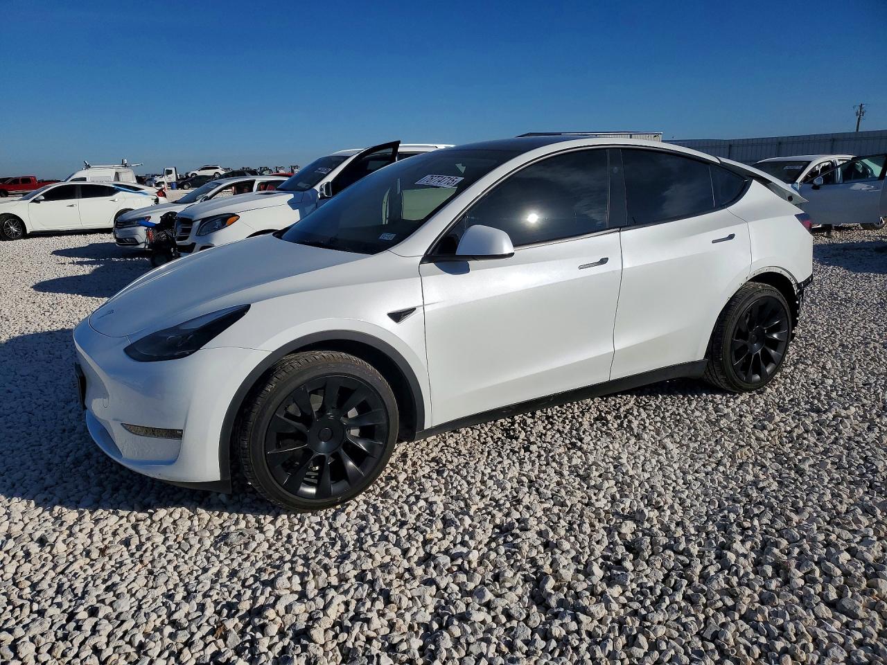 Salvage Tesla Model Y Image