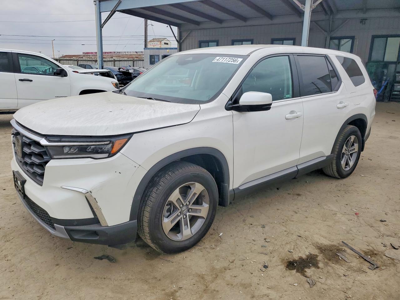 Salvage Honda Pilot Image