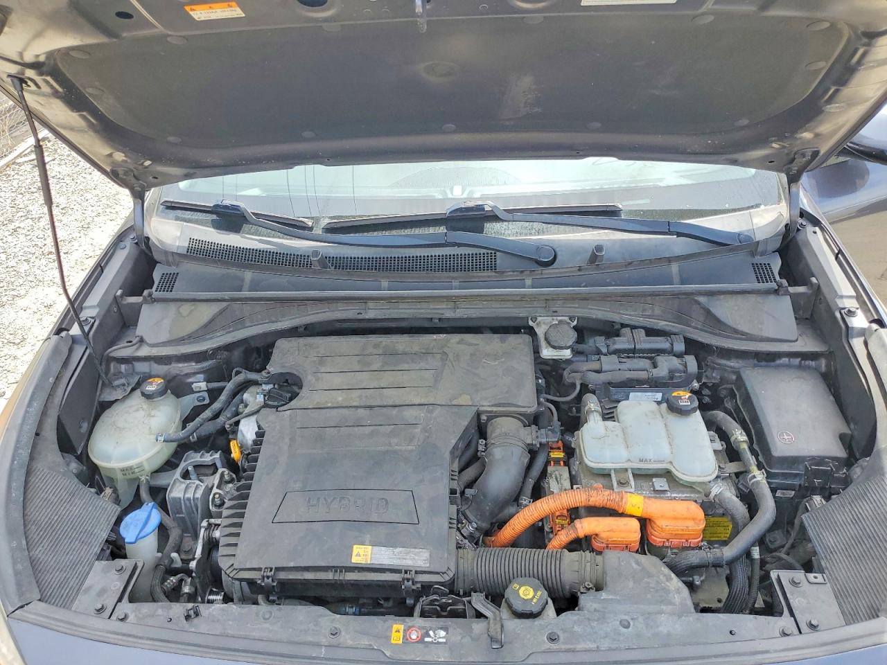 Kia Niro Ex