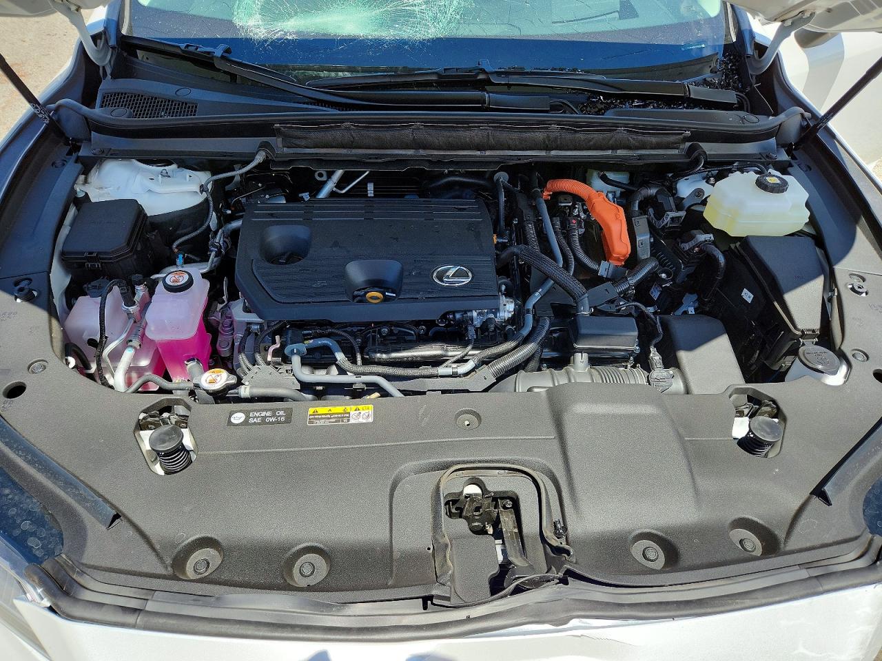 Lexus Other Luxury