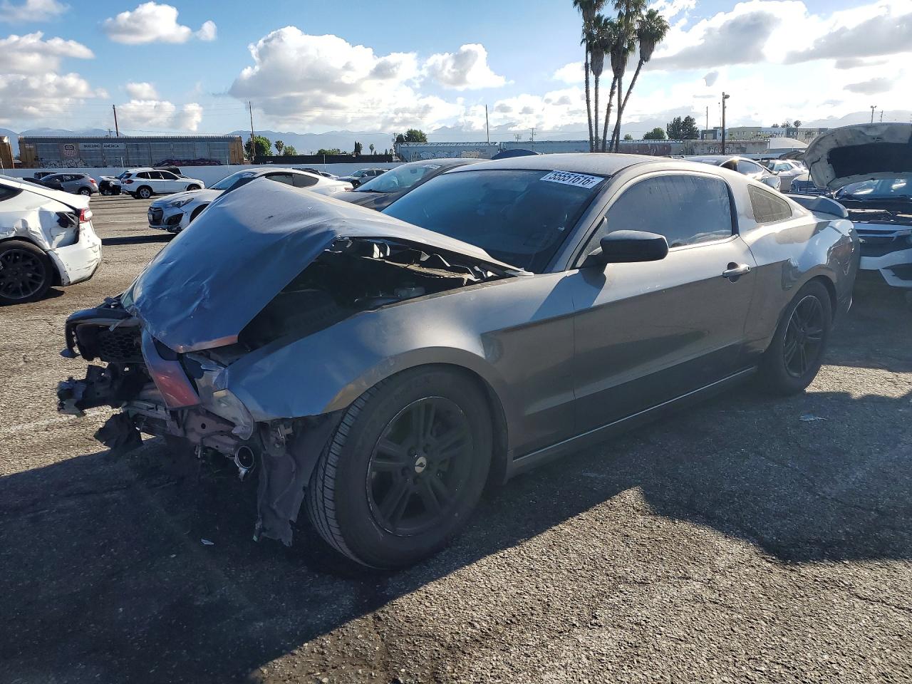 Salvage Ford Mustang Image