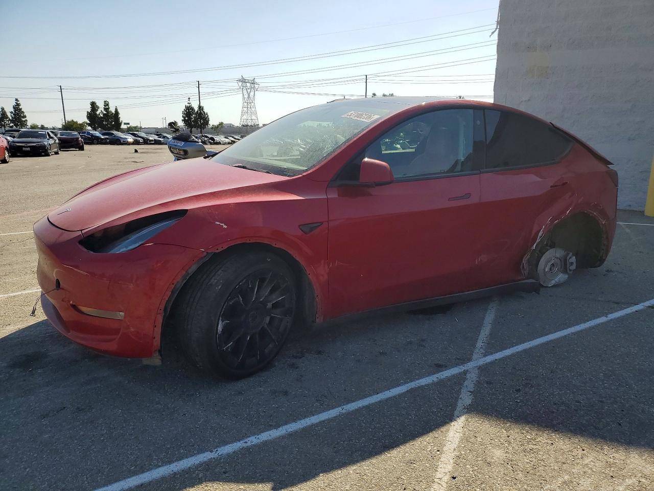 Salvage Tesla Model Y Image