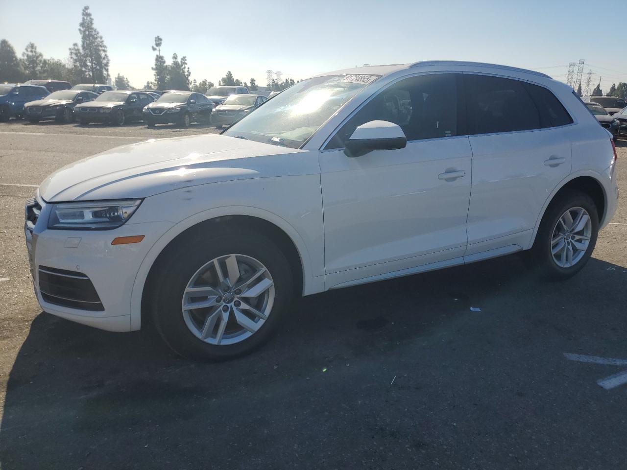 Salvage Audi Q5 Image