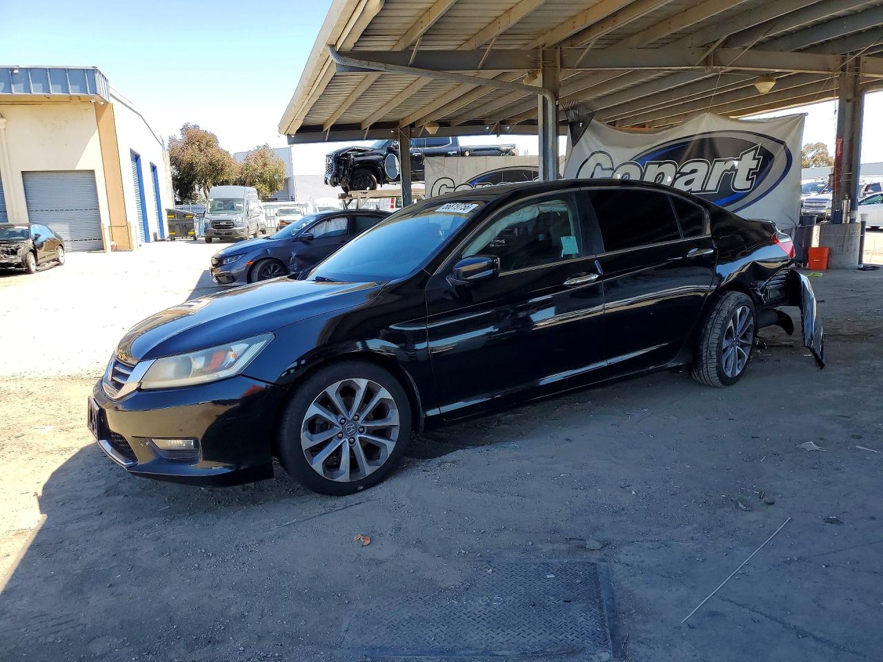 Salvage Honda Accord Image
