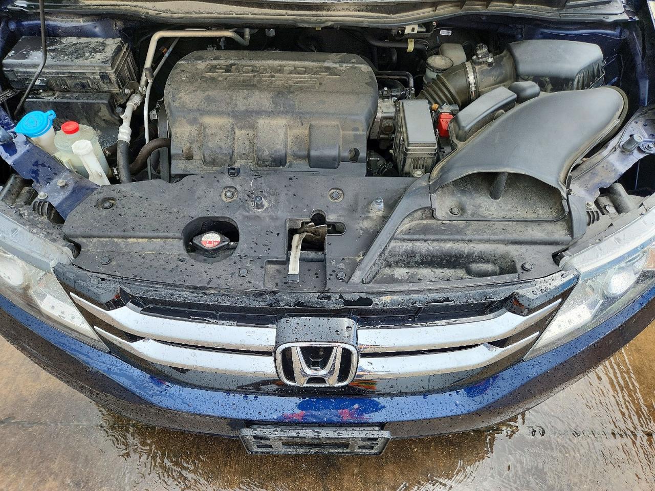 Honda Odyssey Exl