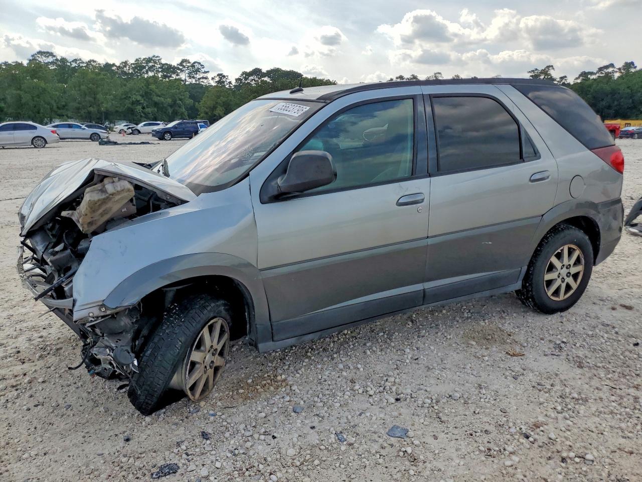 Salvage Buick Rendezvous Image