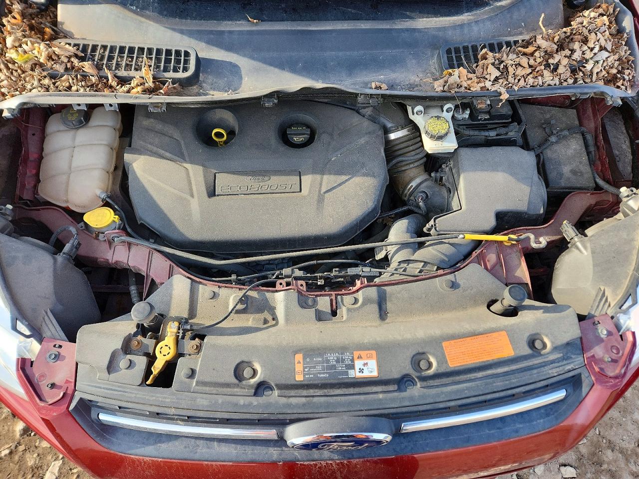 Ford Escape Se