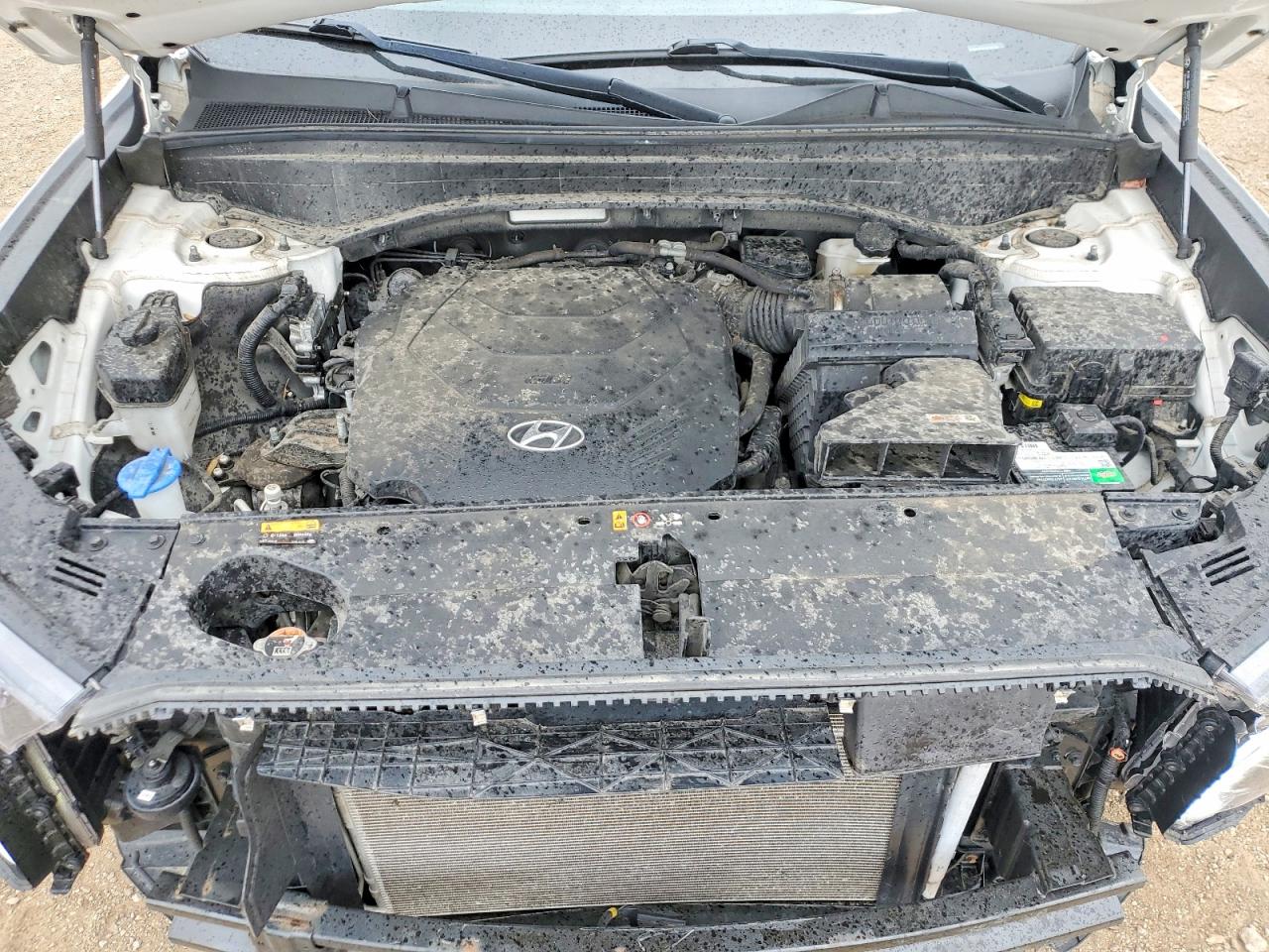 Hyundai PALISADE Limited