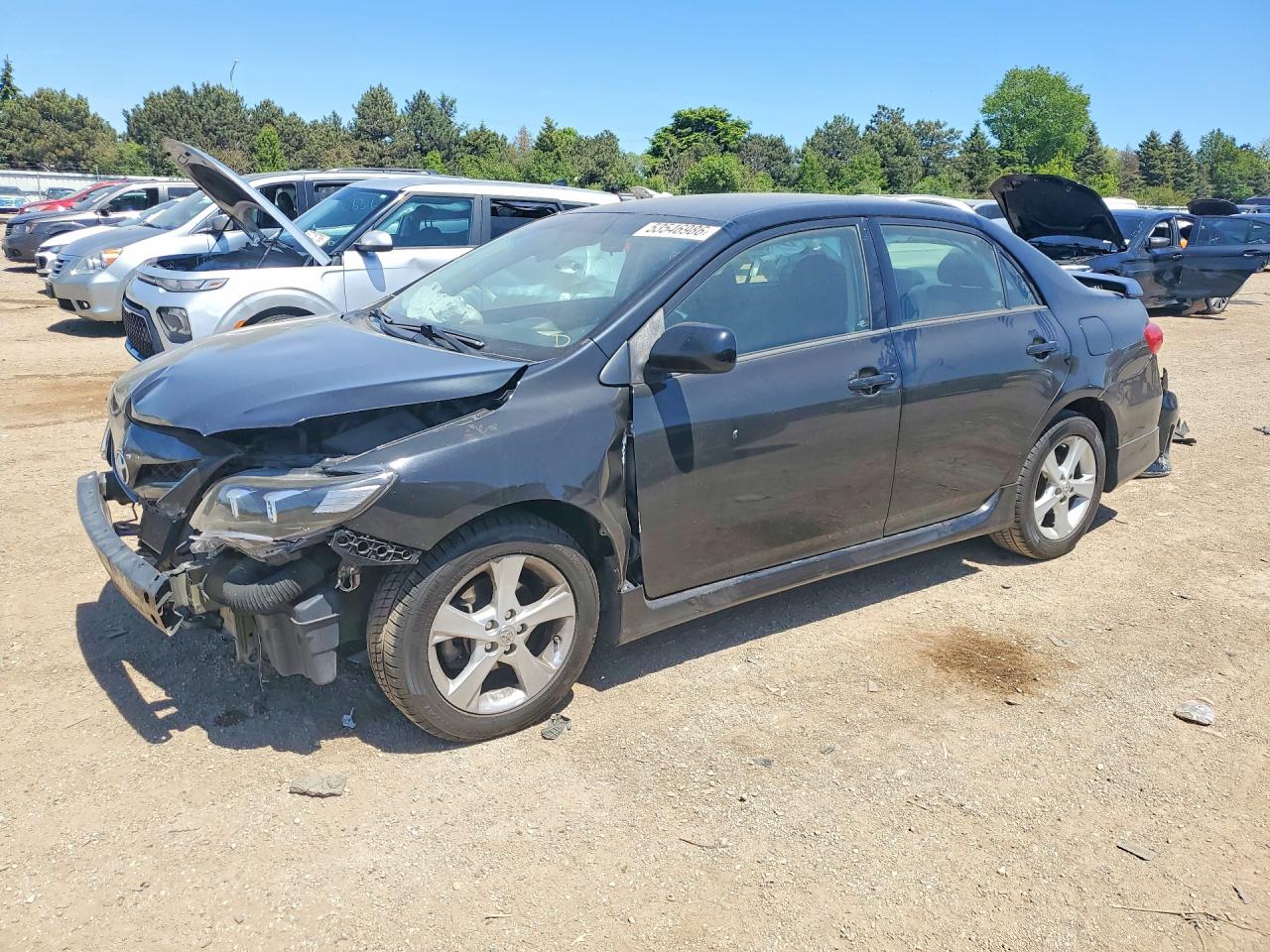 Salvage Toyota Corolla Image