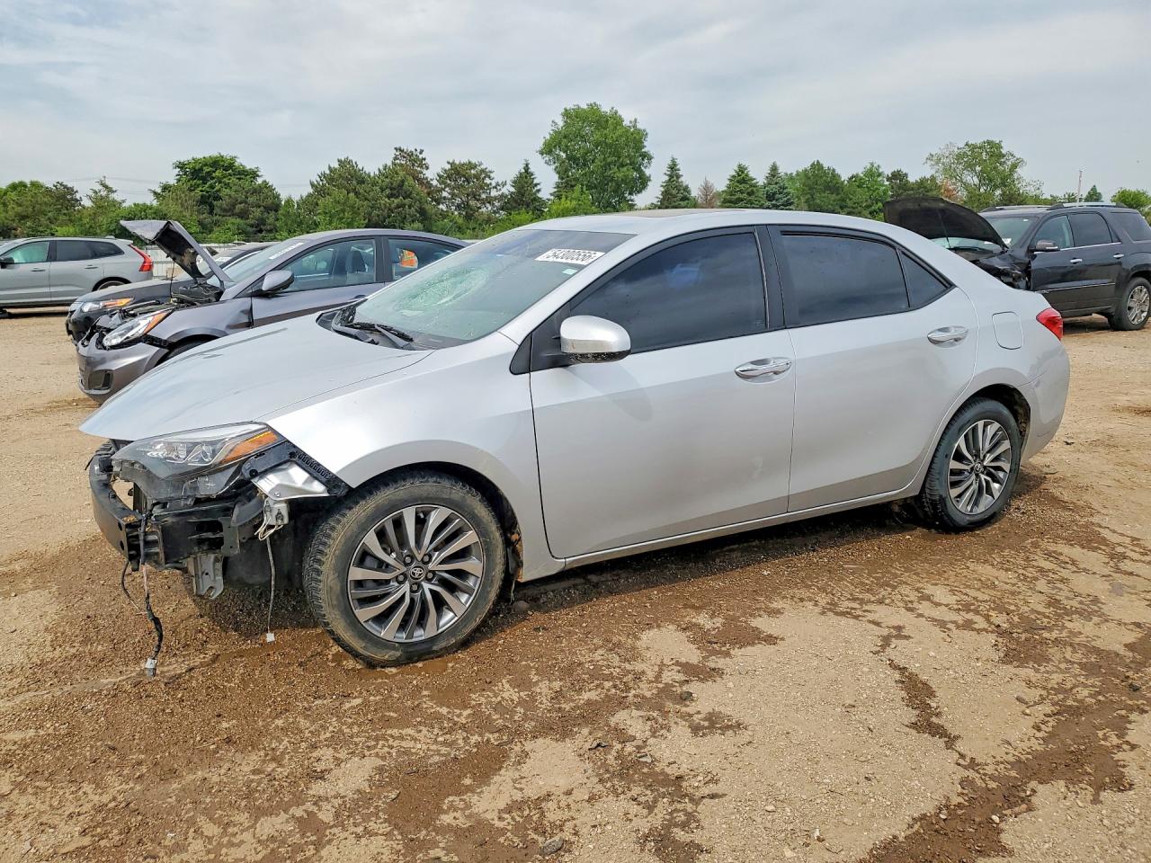 Salvage Toyota Corolla Image