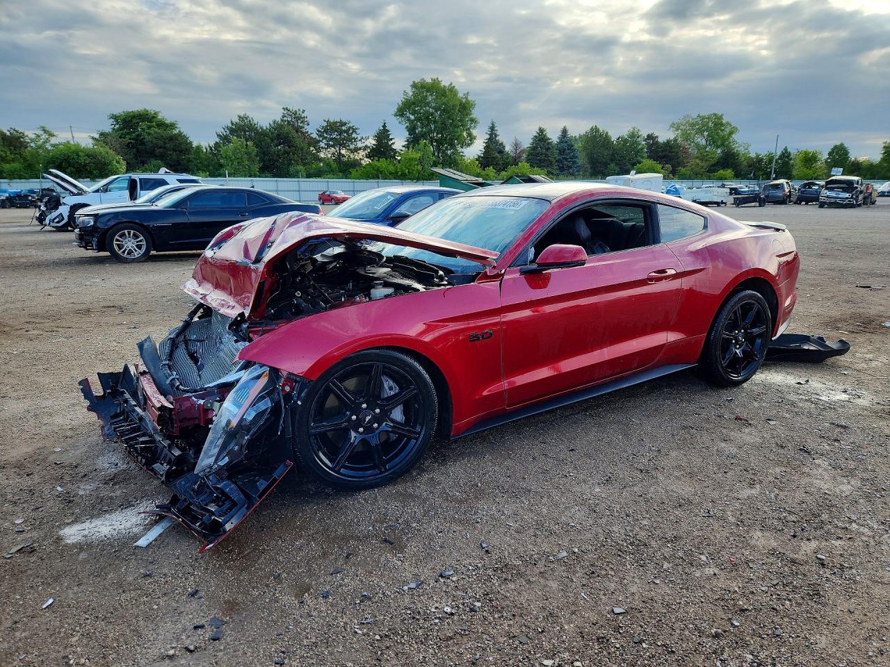 2020 Ford Mustang 1FA6P8CF6L5******