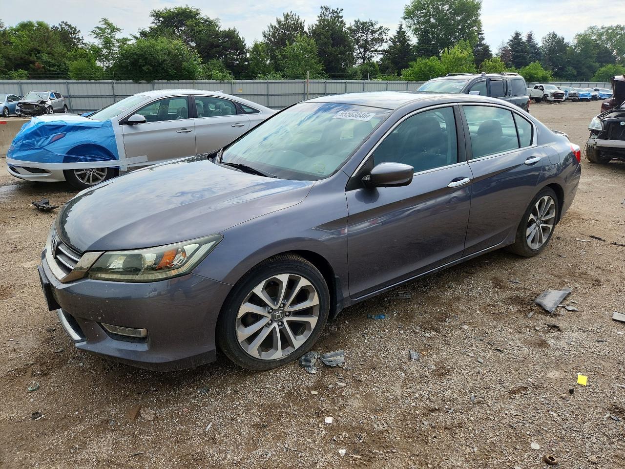 Salvage Honda Accord Image