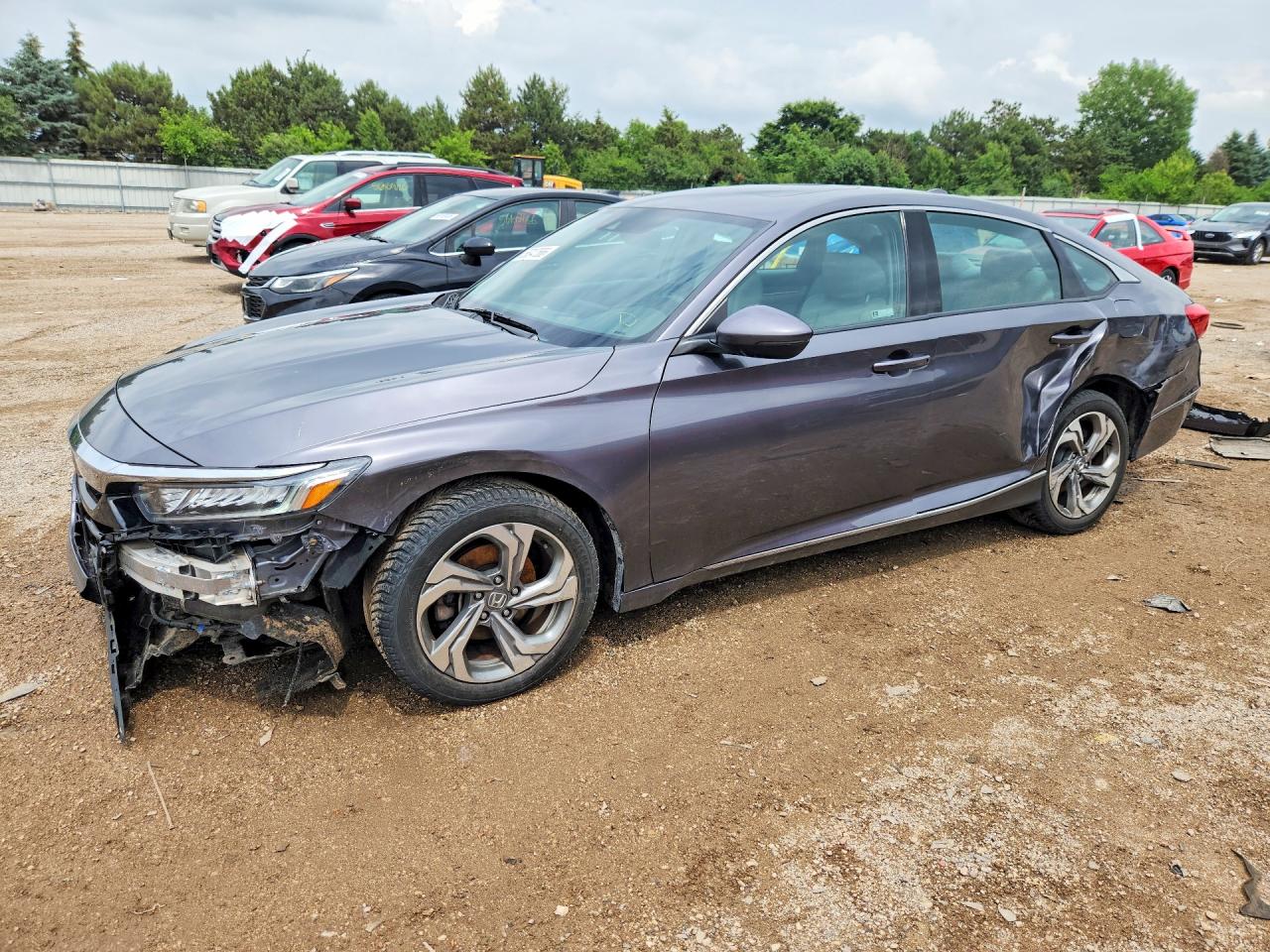 Salvage Honda Accord Image