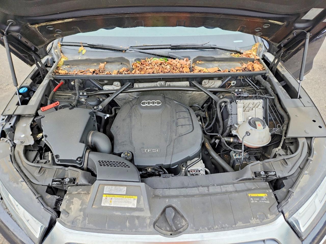 Audi Q5 Premium Plus