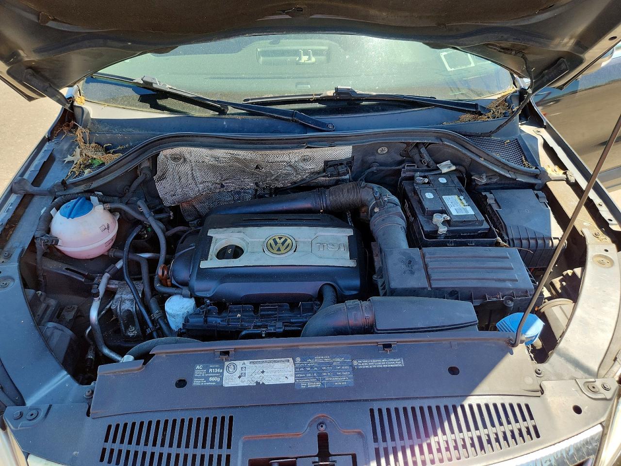 Volkswagen Tiguan S