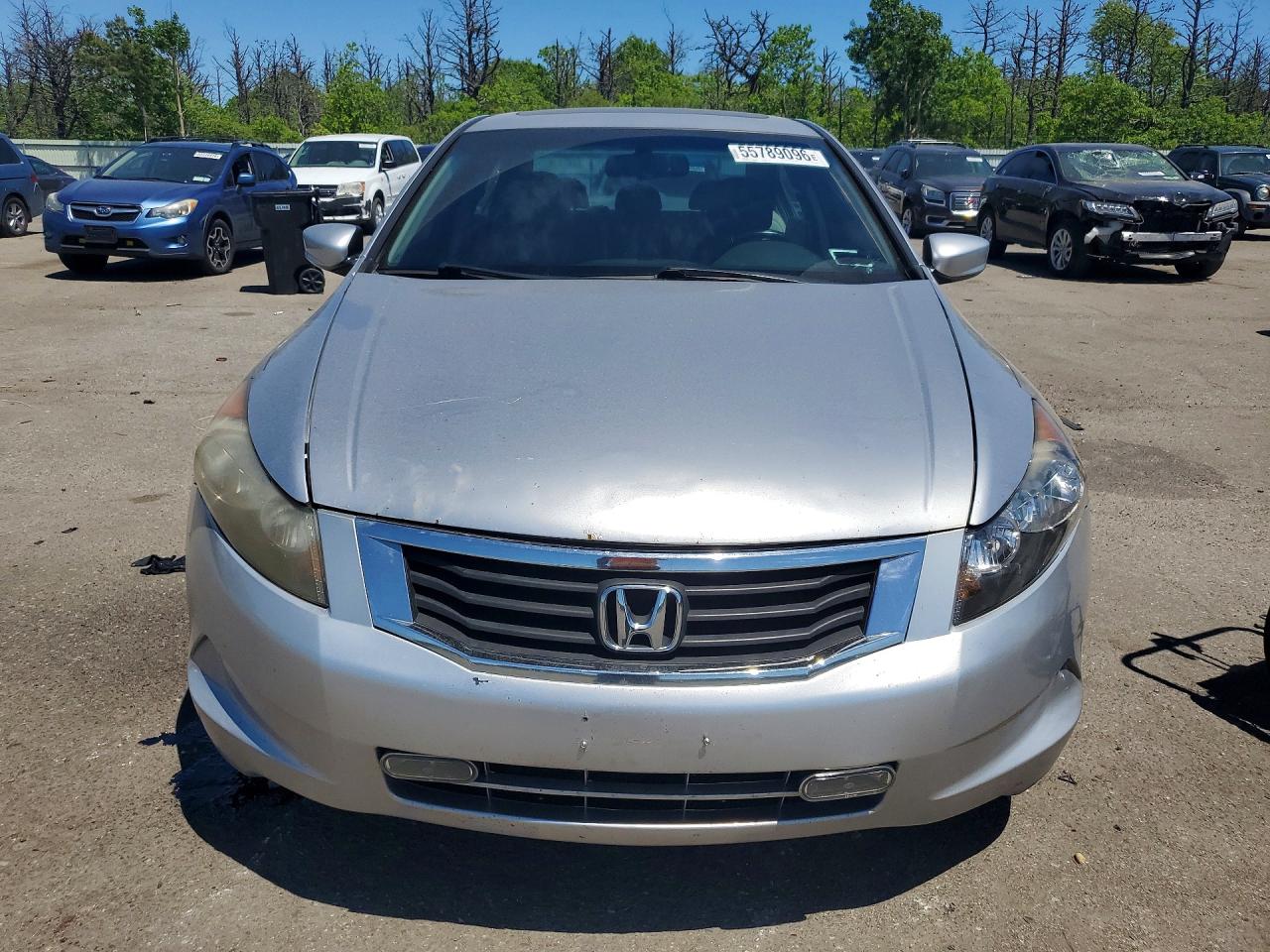 Honda Accord Exl