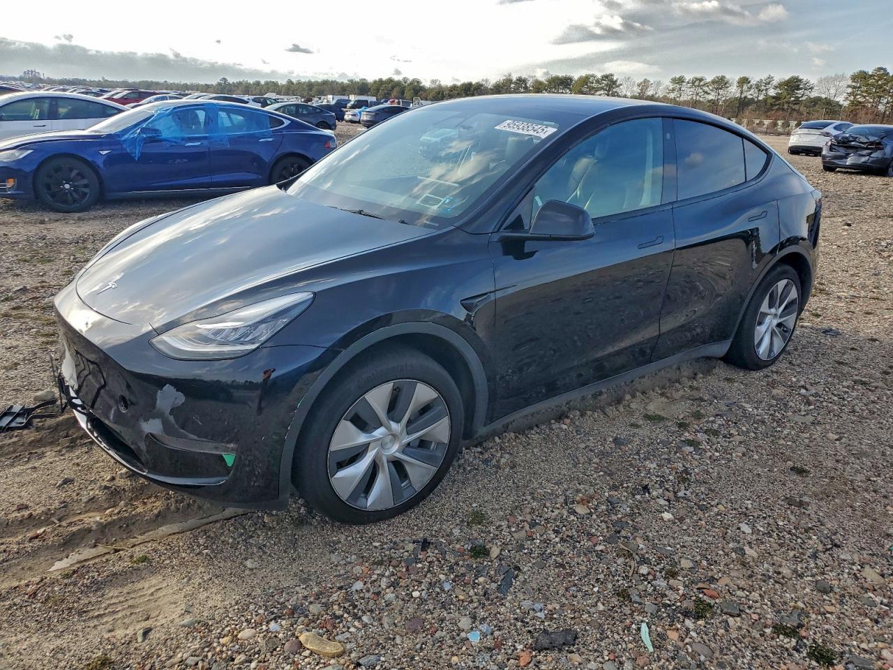 Salvage Tesla Model Y Image
