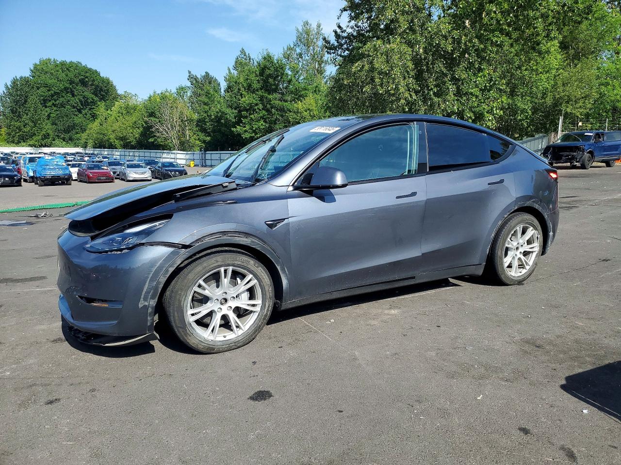 Salvage Tesla Model Y Image