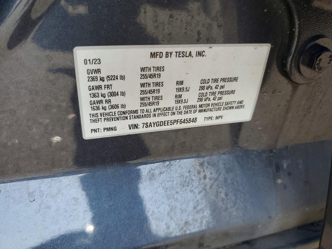 Tesla Model Y