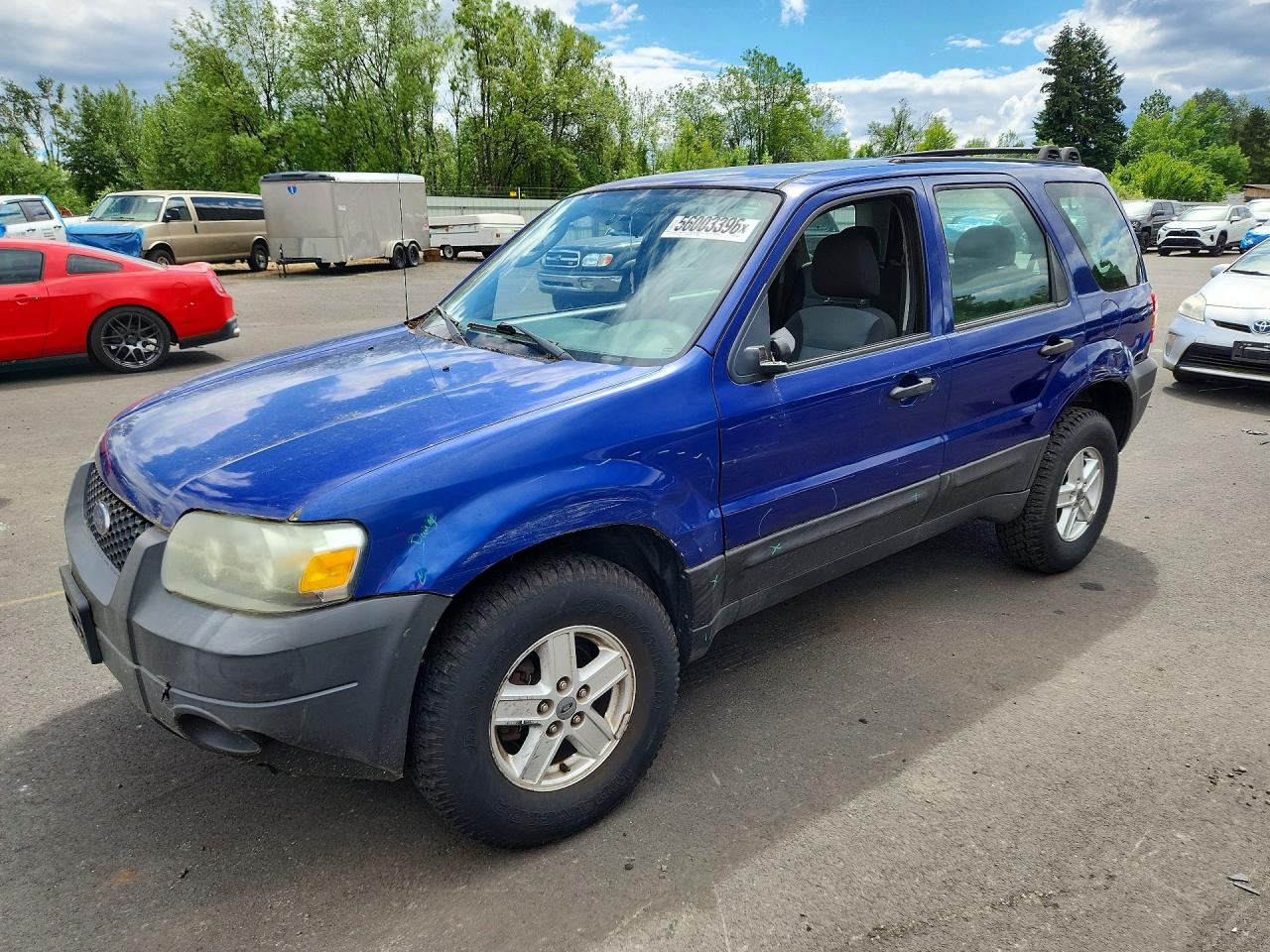 Salvage Ford Escape Image